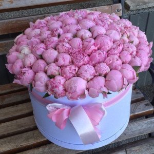 101 розовый пион в коробке